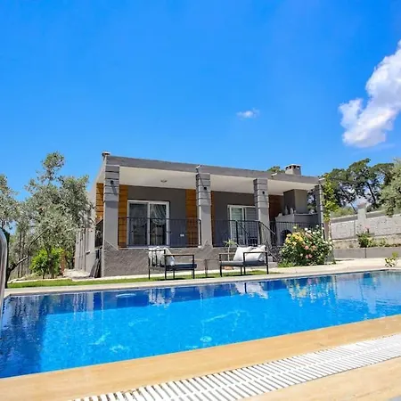 Villa Olive Garden House