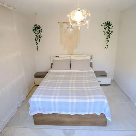 Olive Garden House Villa
