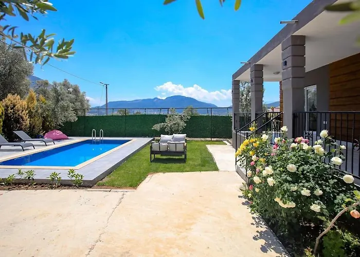 Villa Olive Garden House *