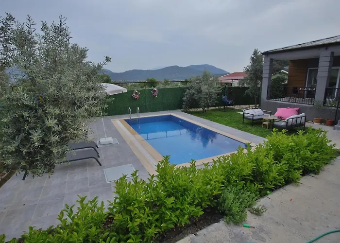 Villa Olive Garden House