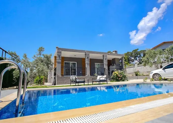 וילה Olive Garden House